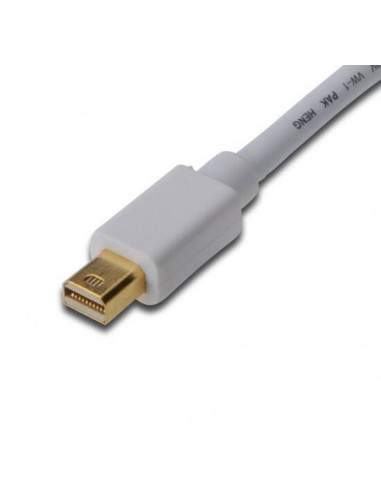 Cavo Mini Displayport Maschio/Maschio Mt. 1