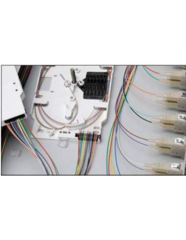 Cassetta Di Giunzione Digitus Per Fibra Ottica Per 24 Fibre