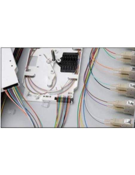 Cassetta Di Giunzione Digitus Per Fibra Ottica Per 24 Fibre