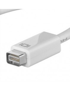 Adattatore Mini Dvi Maschio - Hdmi Femmina 2