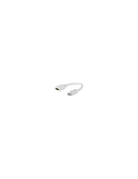 Adattatore Mini Dvi Maschio - Hdmi Femmina