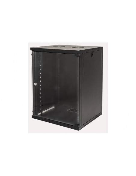 Armadio Rack 19" 15 Unita' Da Muro Per Reti (A)750 X (L)540 X (P) 450 Mm Colore Nero