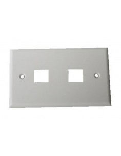 Placca Portafrutti 2 Posizioni Per Jack Utp/Stp Colore Chiaro