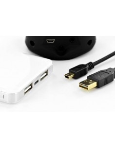 Cavo Usb - Mini Usb Con Spina "A" Reversibile Mt 1 2