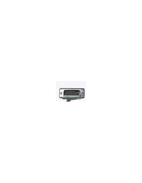 Cavo Dvi Per Monitor - Dvi-D 24+1 Maschio/Maschio Dual Link Mt. 5 Con Ferrite