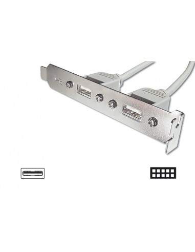 Pannello Slot Con 2 Connettori Esterni Usb 2,0 Tipo A, Femmina - Connettori Interni Alla Piastra Madre 2X5 Pin 2,54 Mm