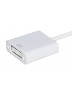 Adattatore Mini Displayport Maschio A Dvi-I Femmina 24+5 2