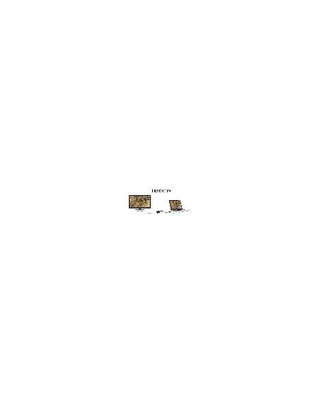 Adattatore Displayport Maschio A Vga Femmina Cm 15