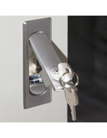 Armadio Rack 19" 42U (A)2055, (L)600, (P)800 Colore Grigio