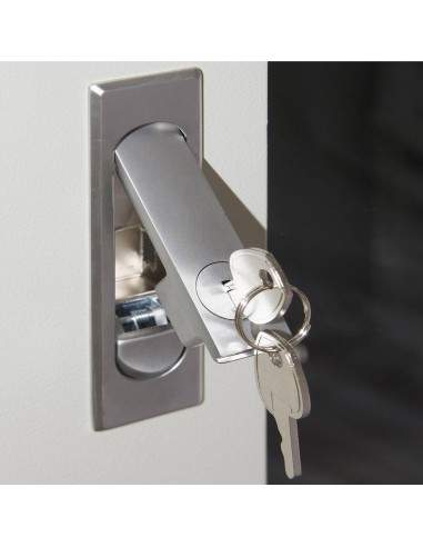 Armadio Rack 19" 42U (A)2055, (L)600, (P)1000 Colore Grigio Porta Vetro