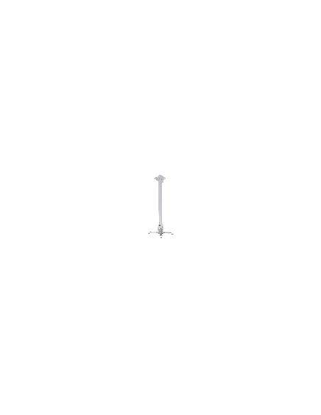 Braccio Da Soffitto O Muro Estensibile Da Videoproiettore