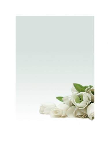 Carta menù inviti Decadry - fiori bianchi - A4 - 90 g - T036126 (conf.20)