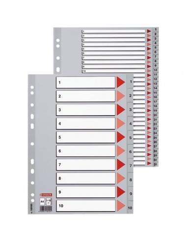 Rubriche numeriche in PPL Esselte - 10 tasti - 100105