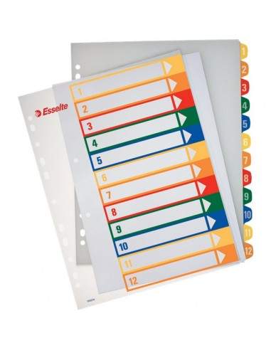 Rubrica numerica PPL Maxi stampabile al PC Esselte - 12 tasti scrivibili - 100214