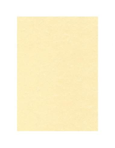 Carta pergamenata Decadry - A3 - champagne - 165 g/mq - T105027 (conf.25)