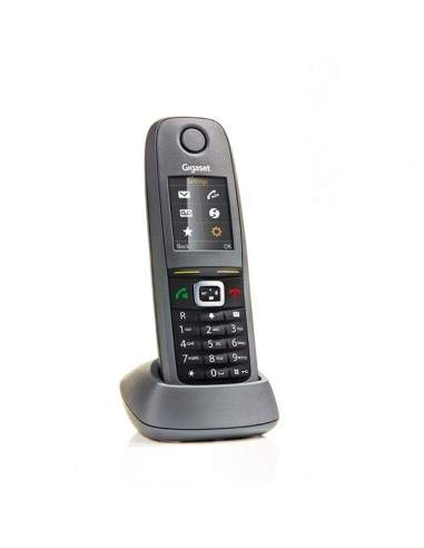 Telefono cordless professionale R 650 H Gigaset - nero/grigio - S30852-H2762-R121