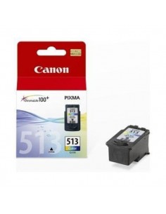Originale Canon inkjet cartuccia A.R. Chromalife 100+ CL-513 - 13 ml - colore - 2971B001