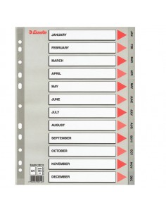 Separatore In Ppl Grigio Mensile Gen-Dic F.To A4 Esselte - 100114 Esselte - 1