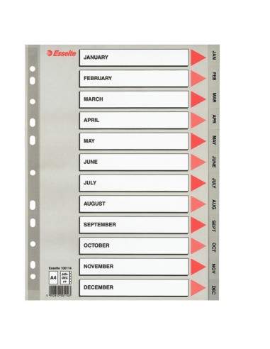 Separatore In Ppl Grigio Mensile Gen-Dic F.To A4 Esselte - 100114 Esselte - 1