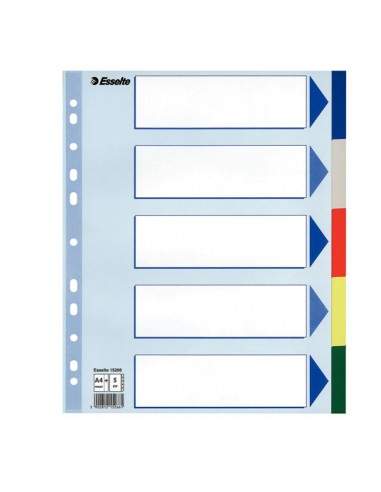 Separatore Neutro In Ppl 5 Tasti Colorati F.To A4 Maxi 24,5X29,7Cm Esselte - 15266 Esselte - 1