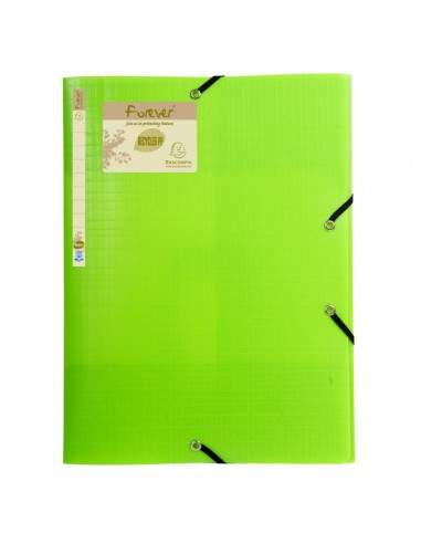 Cartellina Pp Con Elastico 24X32Cm Verde Anice Forever Recycled Pp - 551573E - (conf. 15) Exacompta - 1