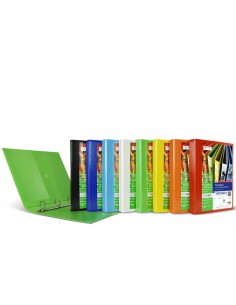 Raccoglitore Personalizzabile Nettuno Ti 30 4D A422X30Cm Col.Assortiti Sei Rota - 36833199 - (conf. 10) Sei Rota - 1