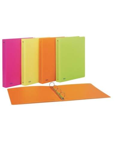 Raccoglitore Ppl 22X30Mm 4R Dorso 30 Colori Assortiti Neon Favorit - 400090369 - (conf. 10) Favorit - 1