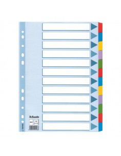 Intercalare Mylar 12 Tasti Colorati - F.To A4 Esselte - 100169 Esselte - 1