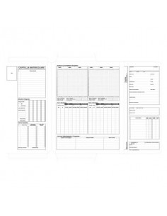 Cartellina matricolare del dipendente data ufficio 32x24 cm 50x2 copie autoricalcanti cf. 50 pezzi DU175500000  - 1