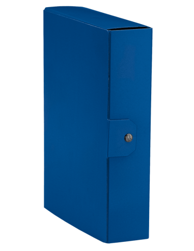 Cartelle portaprogetti Esselte C88 DELSO ORDER dorso 8 cm presspan lucido blu 25x35 cm - 390388050 Esselte - 4