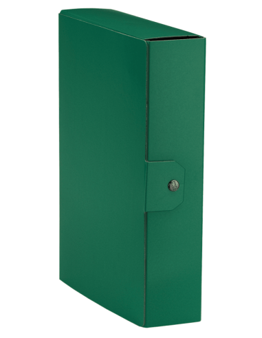Cartelle portaprogetti Esselte C88 DELSO ORDER dorso 8cm presspan lucido verde 25x35 cm - 390388180