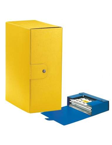 Scatole portaprogetti Eurobox Esselte - dorso 15 cm - 25x35 cm - giallo - 390335090 (conf.5)