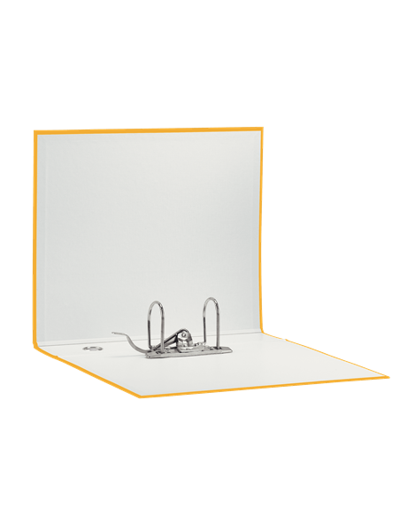 Registratori Eurofile Esselte G53 - commerciale - 23x30 cm - Dorso 8 cm