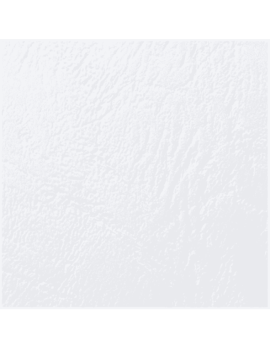 Copertine in cartoncino per rilegatura GBC - A4- goffrato similpelle - bianco - CE040070 (conf.100)