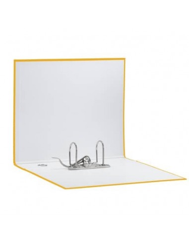 Registratori Eurofile Esselte G55 - Protocollo - 23x33 cm - Dorso 8 cm Esselte - 25