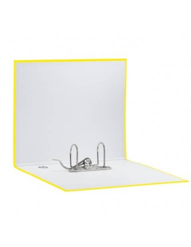 Registratori Eurofile Esselte G55 - Protocollo - 23x33 cm - Dorso 8 cm Esselte - 51