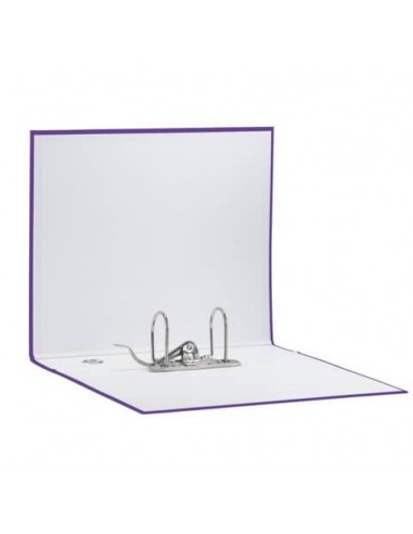 Registratori Eurofile Esselte G55 - Protocollo - 23x33 cm - Dorso 8 cm Esselte - 59