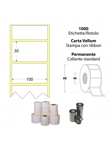 Rotolo da 1000 etichette adesive - 100x30 mm - Carta Vellum - Anima 40 - My Label