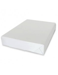 Carta per fotocopie White Label A4 g/m² in Risma da 500 fogli Vendita in bancale da 240 risme no brand - 1