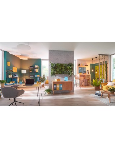 Vaschetta Porta Corrispondenza Leitz Cosy Con Vassoio Organaizer Leitz - 15