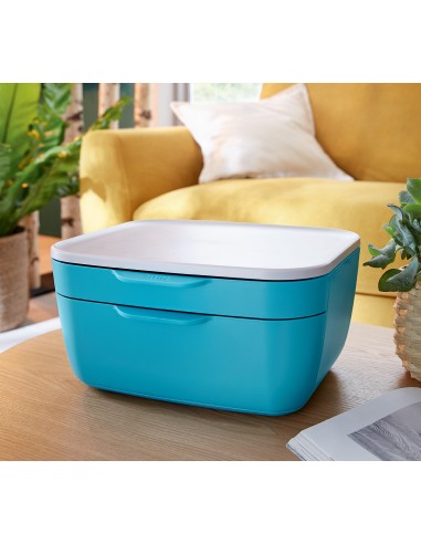 Cassettiera Porta Oggetti Leitz Cosy Due Cassetti Leitz - 16