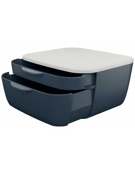 Cassettiera Porta Oggetti Leitz Cosy Due Cassetti Leitz - 12