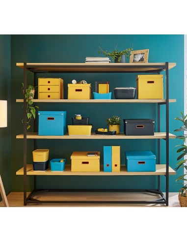 Cassettiera Porta Oggetti Leitz Cosy Due Cassetti Leitz - 20