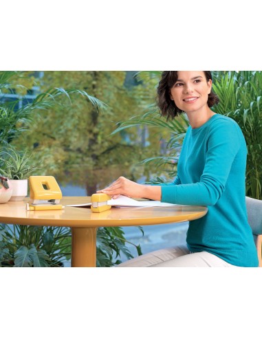 Perforatore Da Scrivania Due Fori Leitz Cosy 30 Fogli Leitz - 20