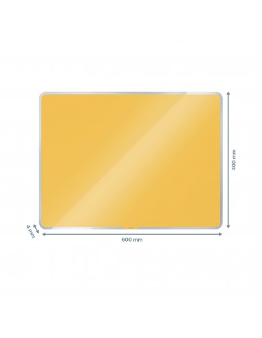 Lavagna Magnetica Da Parete In Vetro Leitz Cosy 600x400 MM Leitz - 13