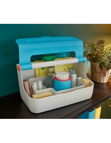 Cassetta Portaoggetti Con Maniglia Leitz Cosy Leitz - 6