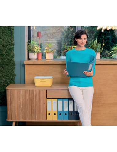 Tappetino Da Scrivania Leitz Cosy Ergo Leitz - 20