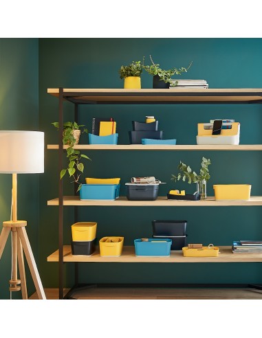 Contenitore Portaoggetti Leitz Cosy My Box S Con Coperchio Leitz - 31