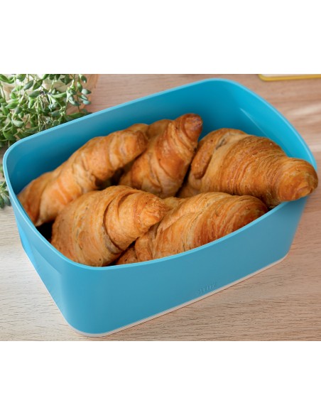 Contenitore Portaoggetti Organizer Leitz Cosy My Box S Leitz - 4