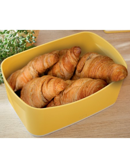 Contenitore Portaoggetti Organizer Leitz Cosy My Box S Leitz - 9